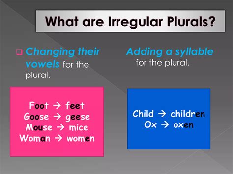 Regular and irregular plural nouns | PPTX
