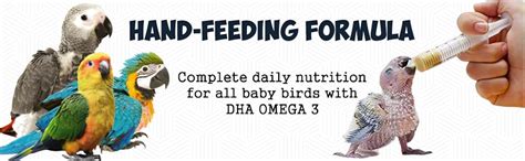 Buy PETSLIFE Hand Feeding Formula for Baby Birds, 250g Online at Low ...