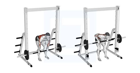 Image result for Cable Machine Bent Over Row