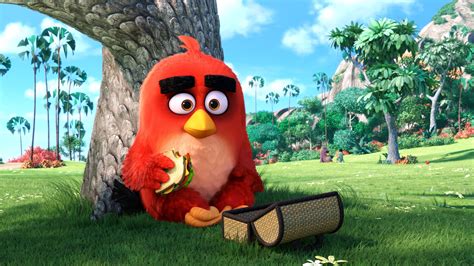 Image result for Angry Birds Windows
