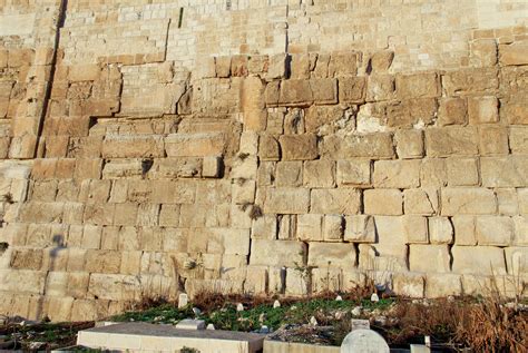 Gallery - Ezra Seven Ten