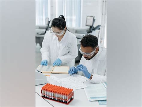 Study reveals how eukaryotic cells can control average fluctuations in ...