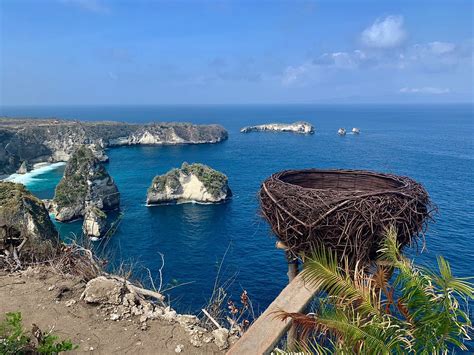 RUMAH POHON TREE HOUSE (Bali/Nusa Dua) - Campground Reviews, Photos ...