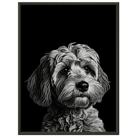 Image result for Cockapoo Drawing Formal Portrait