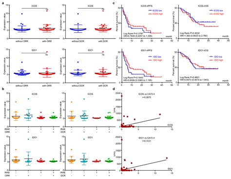 Extracellular Vesicle-Derived Protein File from Peripheral Blood ...