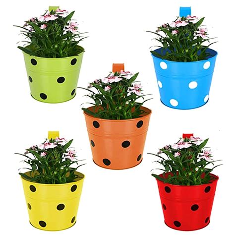 TrustBasket Single Pot Railing Planter (Multicolour, Pack of 5 ...