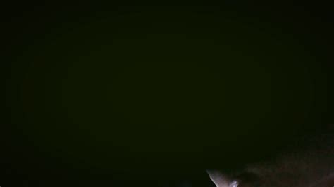 Image result for Death Note Intro Song