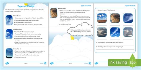 Identifying Clouds - Four Types of Clouds Worksheets
