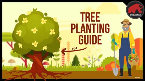 Image result for Tree-Planting Steps