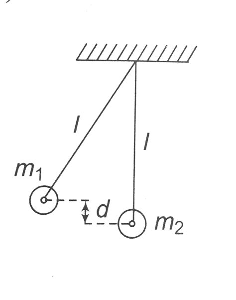 Two pendulum each of length `l` are initial situated as shown in figure ...