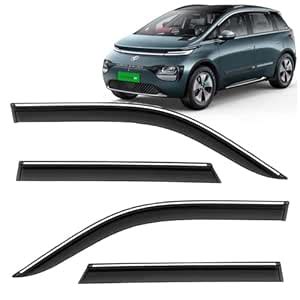 KINGSWAY Accessories Chrome Lining Door Visor Only Compatible with ...