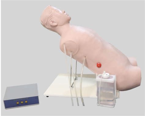 胸腔闭式引流术训练模型 - 上海康人医学仪器设备有限公司