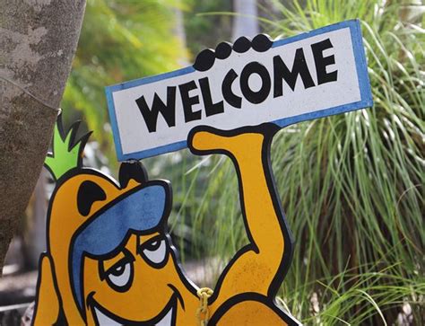 COOL BANANAS BACKPACKERS LODGE (Agnes Water) - Hostel Reviews, Photos ...