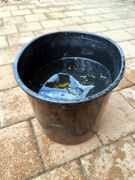 Image result for How to Remove T-Post