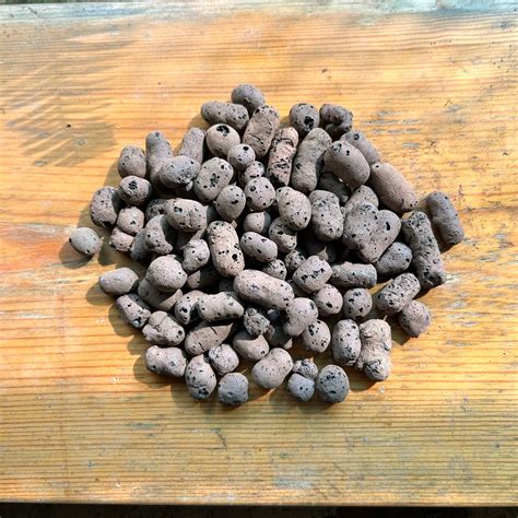 How to Use Hydrotones AKA LECA Balls for Rooting Cuttings: Step-by-Ste ...