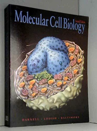 Buy Molecular Cell Biology Book Online at Low Prices in India ...