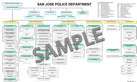 Image result for Police Command Structure