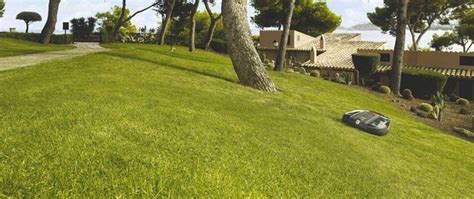 Robot tagliaerba   Robot tosaerba   Caratteristiche del  