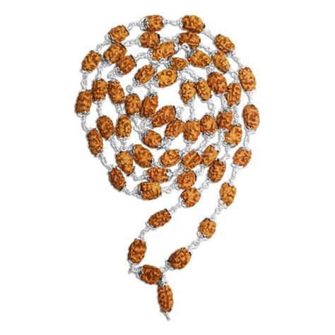 2 Mukhi Indonesian Rudraksha Mala 54 Beads In Silver – RudraShiv Blessing