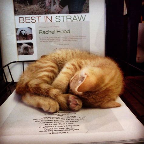 PETA Office Photos | Glassdoor