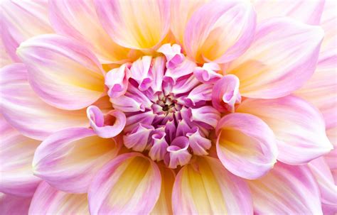 Image result for Example of Data in HTML-Format