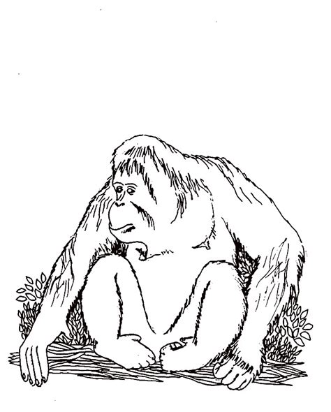 Image result for Extinct Animals Coloring Pages