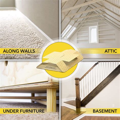 HARRIS Spider Glue Traps, Pesticide Free (2-Pack), Kills Brown Recluse ...