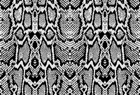 Image result for Python Snake Background Patterns