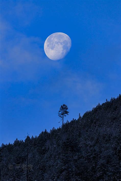 10月底西藏林芝、山南秋色、月升、冰川摄影训练营召集 - 知乎