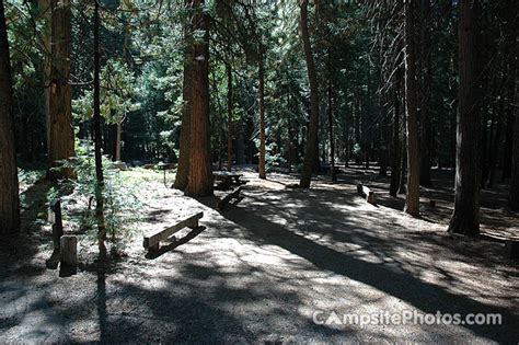 Image result for Stumpy Meadows Map