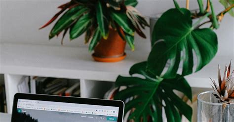 Computer Basic Knowledge 的图像结果