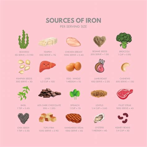 iron rich diet plans