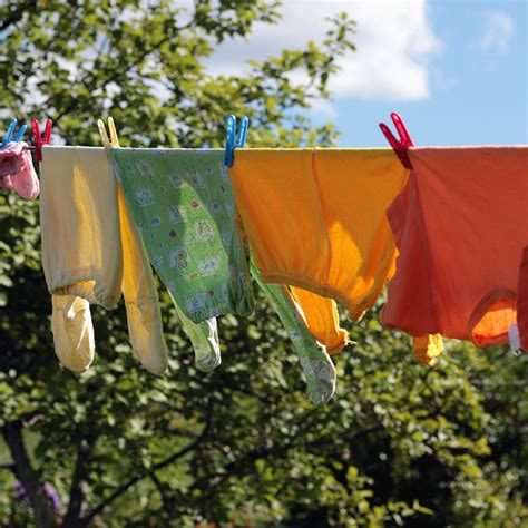 Solar-Powered Dryer!!! - The Urban Co-Op
