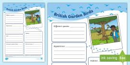 British Garden Birds Cloze Worksheet (teacher made) - Twinkl