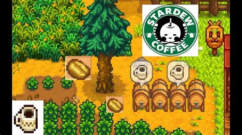 How to Find and Process Coffee Beans in Stardew Valley