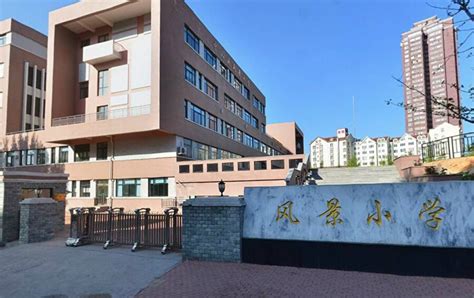 中山火炬高技术产业开发区中心小学介绍-双师东方