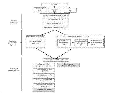 Image result for Pea Protein Extraction Process Flow Chart