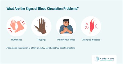 Image result for Blood Circulation Problems