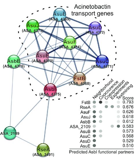 Image result for STRING Protein Interactions