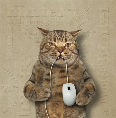 Image result for Computer Mouse Pointer Cat