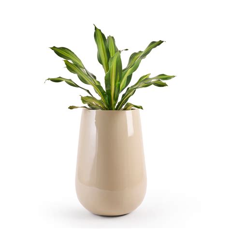 Rony FRP Round Planter Pot Beige | Palasa Planters