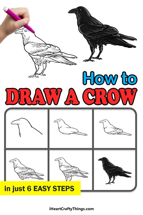 Image result for Crow Drawing Tutorial