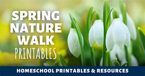 Image result for Spring Fun Walk