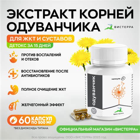 Корень одуванчика Алтайского Вистерра натуральный экстракт от отеков ...