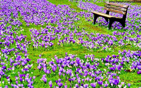 Image result for Spring Definition