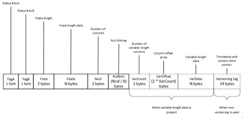 SQL DataTable 的图像结果