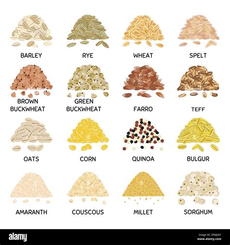 Bulgur grains Stock Vector Images - Alamy