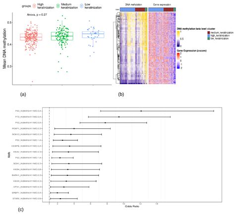 Identifying Key Regulators of Keratinization in Lung Squamous Cell ...