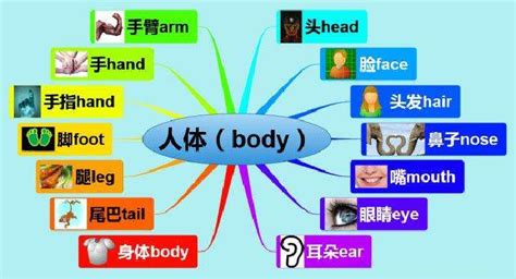 Mind Map Types 的图像结果