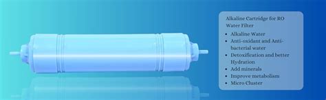 riveric Alkaline Cartridge With 2 elbow for RO Water Filter | Alkaline ...